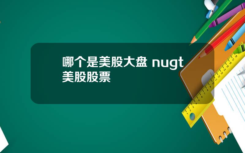 哪个是美股大盘 nugt美股股票